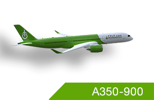 cpat global airbus a350-900 aviation course