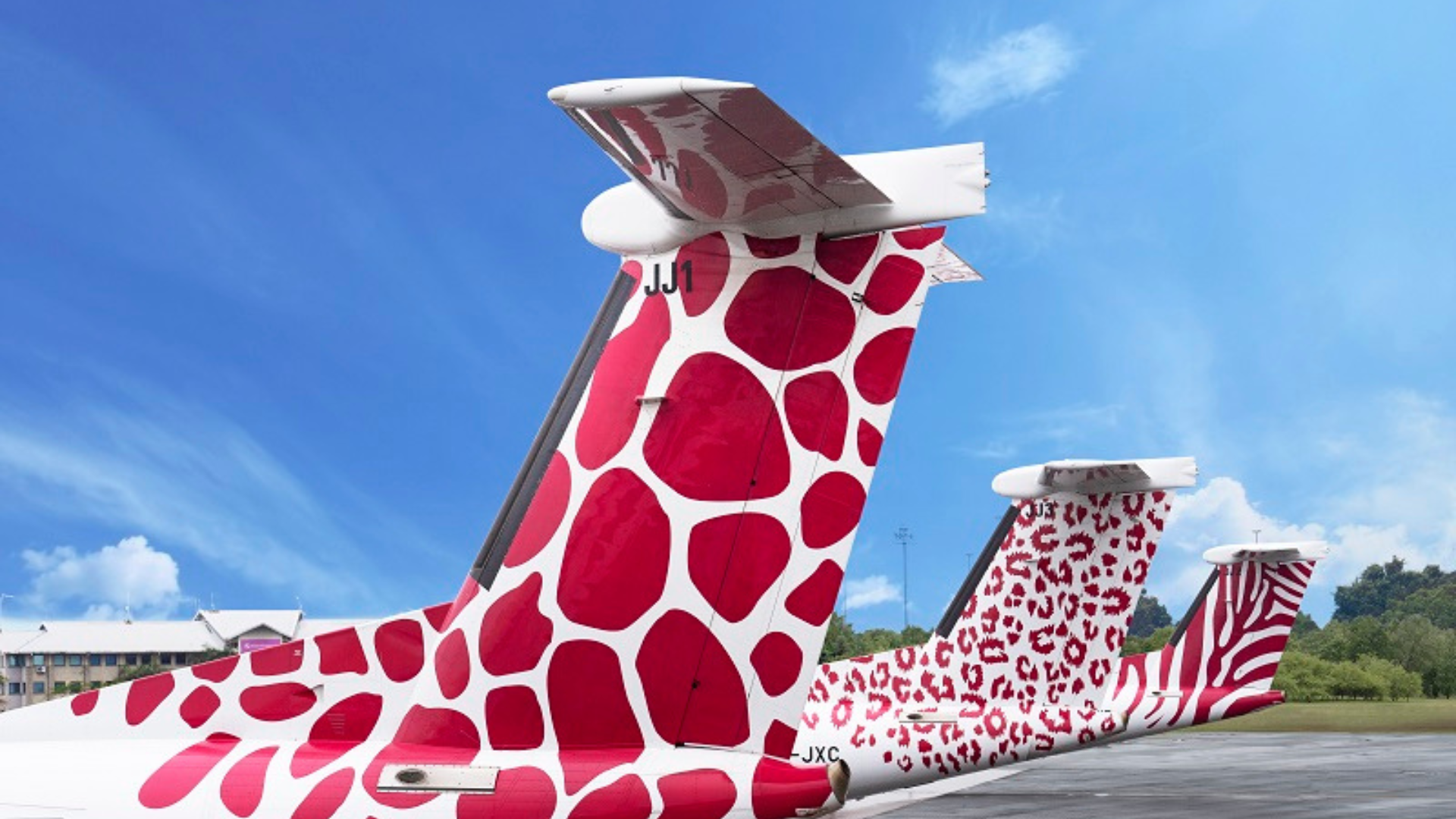 JamboJet Web Thumbnail